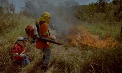 Focos de incêndio aumentaram cerca de 283% entre janeiro e julho no Brasil