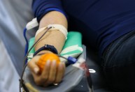 Senado aprova projeto que impede veto à doação de sangue por homens gays