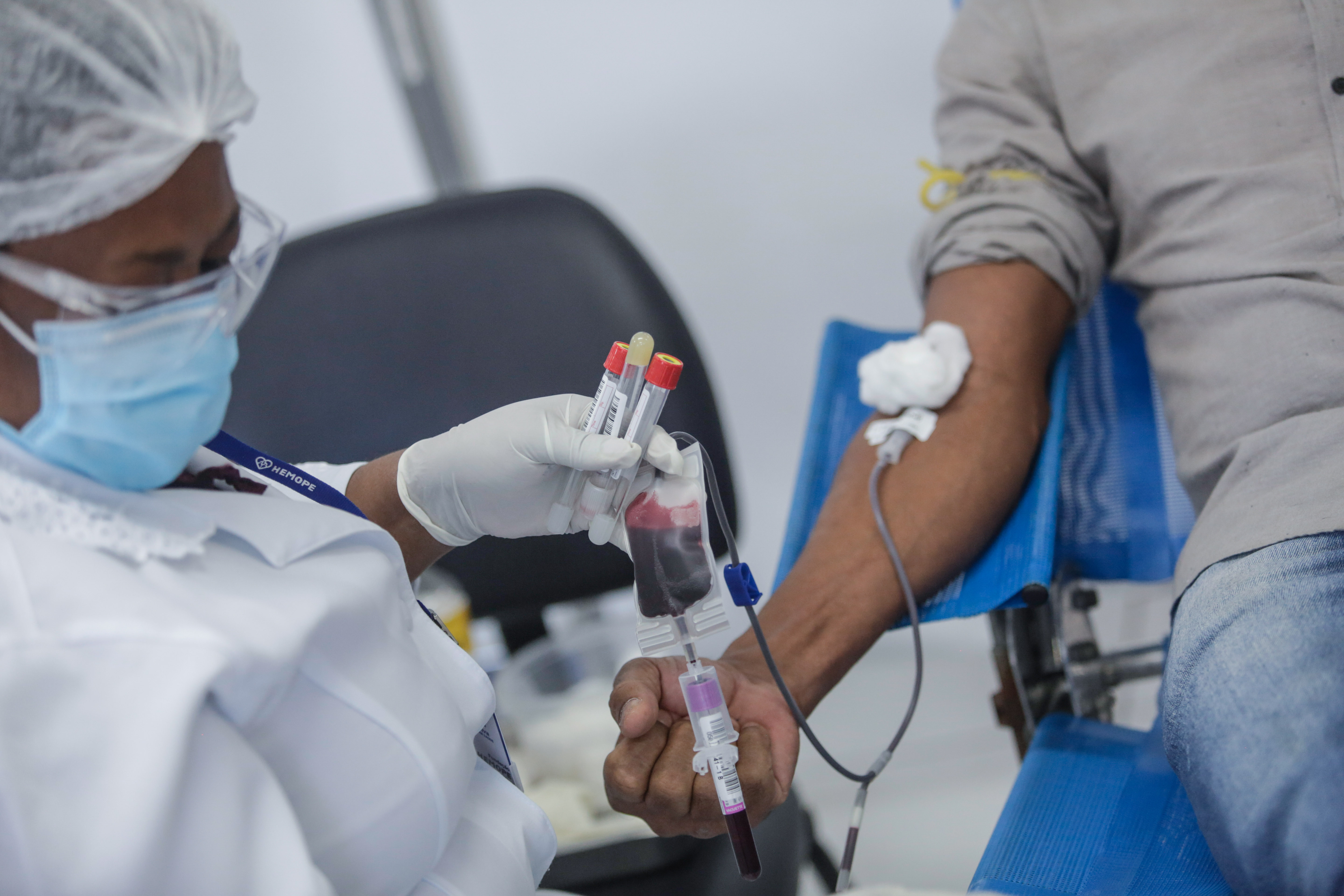 Doação de sangue | doador | hemocentro