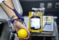 Conheça os critérios para doar sangue