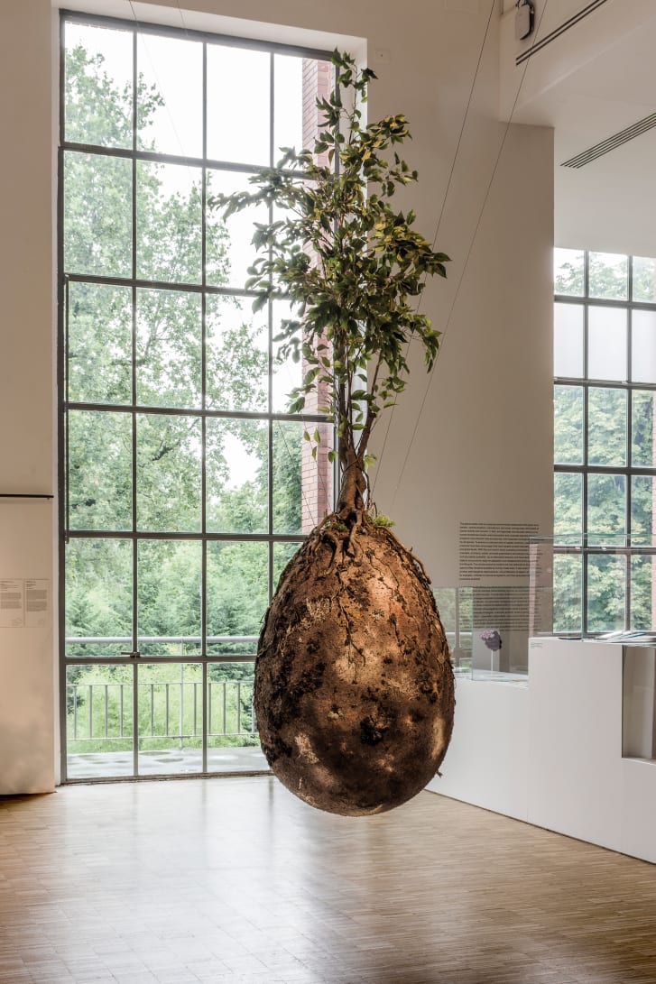 Capsula Mundi: projeto de morte sustentável também será apresentado no Futuros / Foto: Cortesia de CEANIX/BIG-Bjarke Ingels Group/Smithsonian