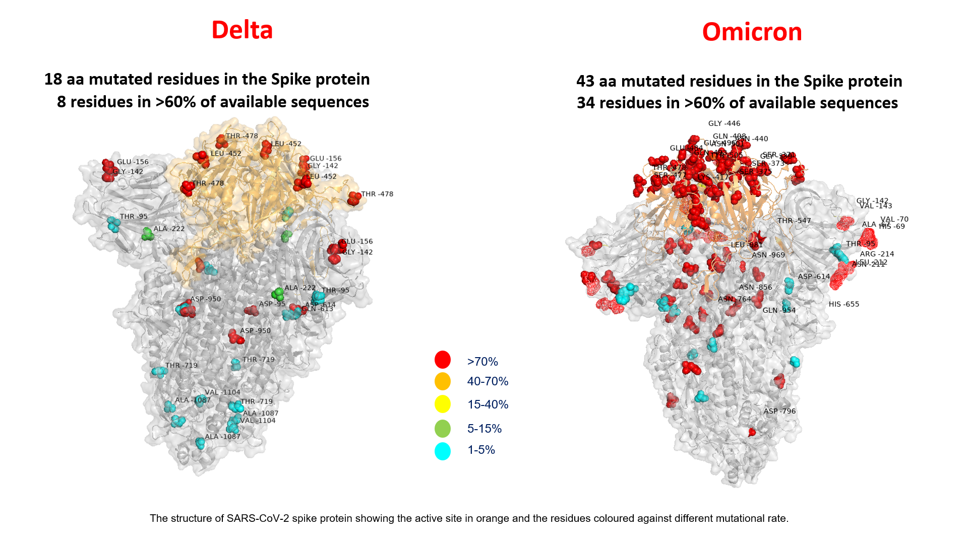 Reprodução gráfica das variantes Delta e Ômicron, que apresentam inúmeras mutações na proteína Spike / Hospital Bambino Gesù