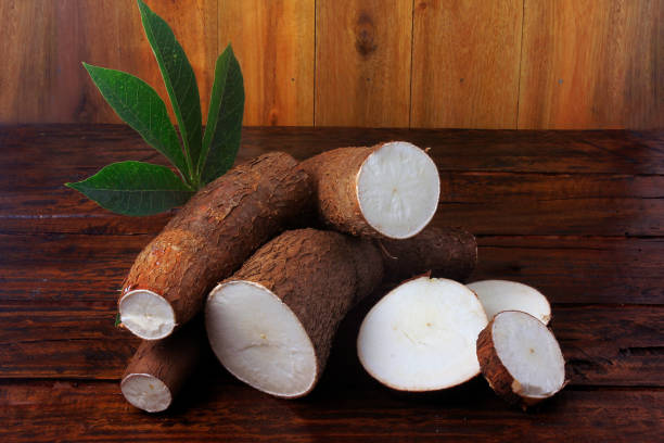 istockphoto-1150495930-612x612 mandioca istock