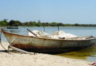 Declaração da Petrobras, naufrágio no RJ e mais da noite de 1º de novembro