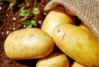 Alimentos subiram até 166% em um ano, segundo IPCA