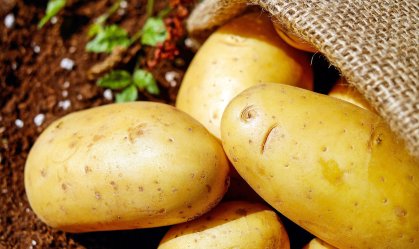Modo de preparo muda benefícios da batata; veja como comer da melhor forma