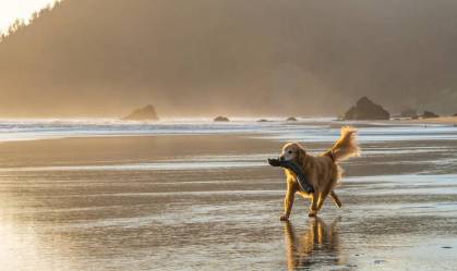 unsplash-paul-buffington