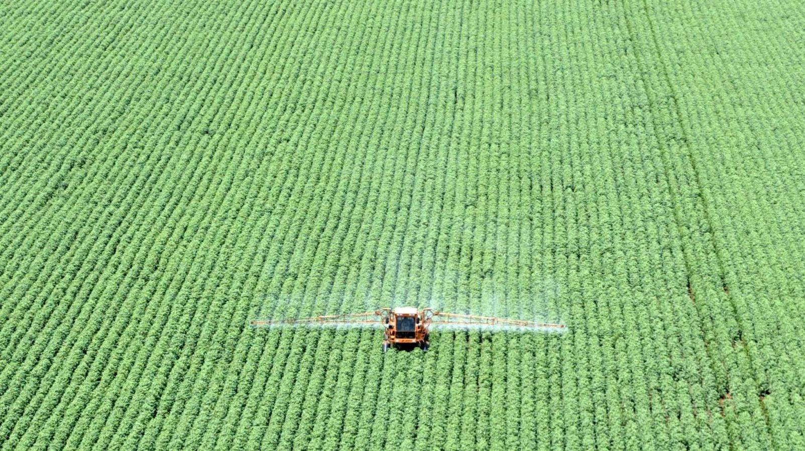 https://admin.cnnbrasil.com.br/wp-content/uploads/sites/12/2021/12/2021-12-08T214332Z_1_LYNXMPEHB7182_RTROPTP_4_BRAZIL-SOYBEAN-e1742844924280.jpg?w=1200&h=900&crop=0