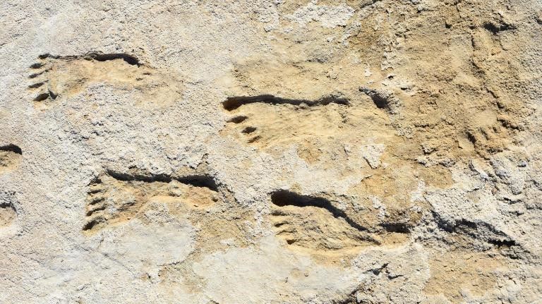 As pegadas devem ter sido deixadas por crianças / Mattew Bennett/Bournemouth University