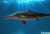 Cientistas descobrem “super golfinho” feroz e com presas