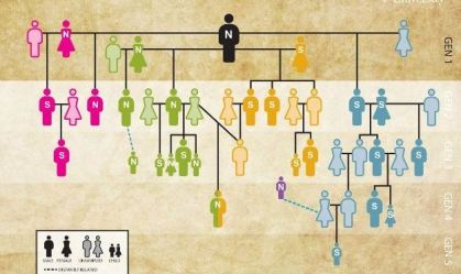 Árvore genealógica mais antiga do mundo é reconstruída de tumba da Idade da Pedra