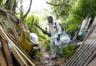 Avanço da dengue pode estar relacionado a aumento da pobreza, diz infectologista