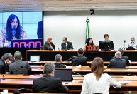 Pré-candidatos a presidente falam sobre as emendas do relator