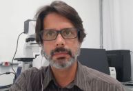 “Transmissão comunitária da Ômicron no Brasil é questão de tempo”, diz especialista