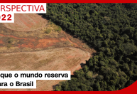 Assegurar mercados do agro e Amazônia: desafios do Brasil no mundo em 2022