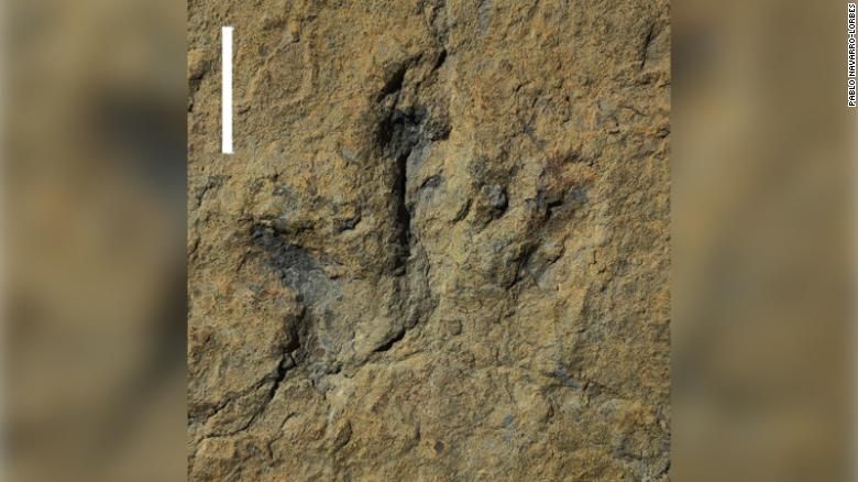 Pegadas fossilizadas marcadas no que era a lama de um lago em período de seca permitiram calcular velocidade dos terópodes / Pablo Navarro-Lorbés/ divulgação