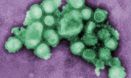 Especialistas explicam o que pode provocar uma nova pandemia de gripe