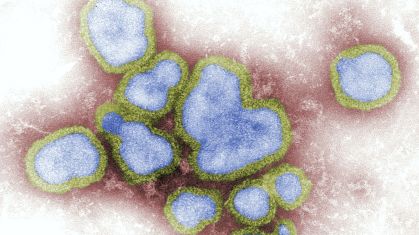 Influenza | vírus da gripe