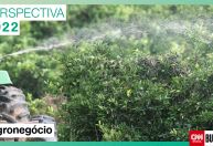 Agronegócio tem perspectiva positiva em 2022, mas clima e custos são ameaças