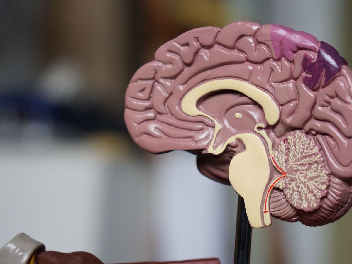 psicologiasdobrasil.com.br - Novo tratamento com nanopartículas remove placa do Alzheimer e reverte a doença em testes de laboratório