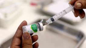 Vacinas contra a gripe são atualizadas anualmente