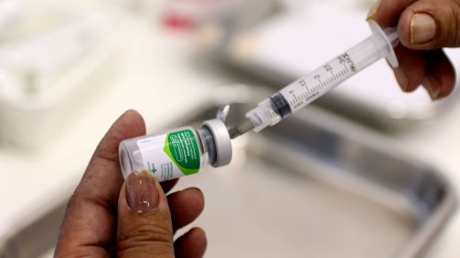 Vacinas contra a gripe são atualizadas anualmente