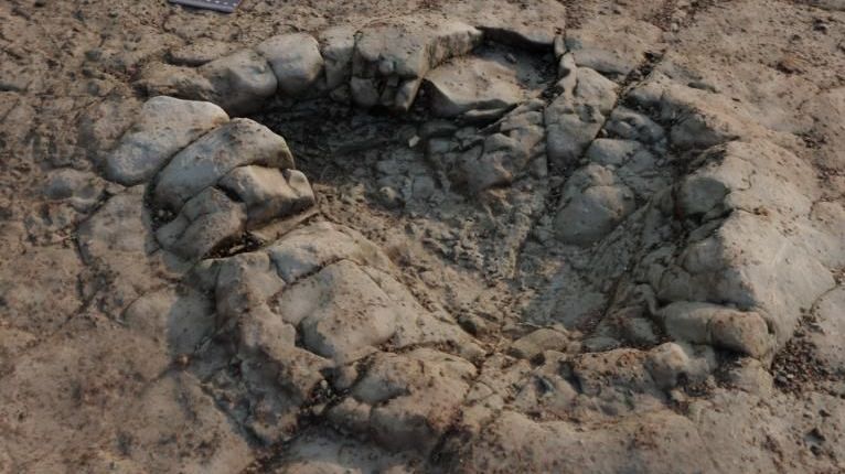 220101092229-01-dinosaur-footprints-wales-beach-exlarge-169