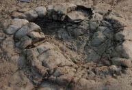Pegadas de dinossauro de 200 milhões de anos são encontradas no Reino Unido