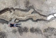 Fóssil de ‘dragão do mar’ gigante com 180 milhões de anos é encontrado