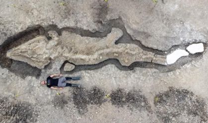 Fóssil de ‘dragão do mar’ gigante com 180 milhões de anos é encontrado