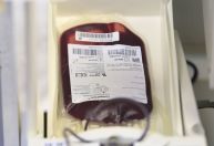 Hemorio registra queda de 15% em número de doações de sangue diárias