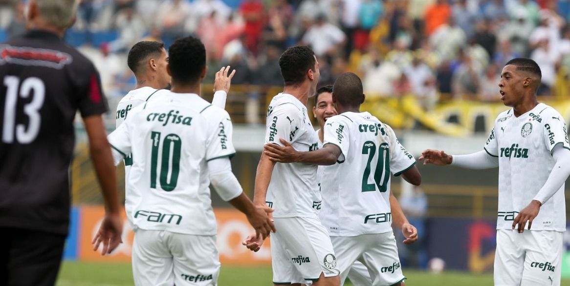 PALMEIRAS COPINHA