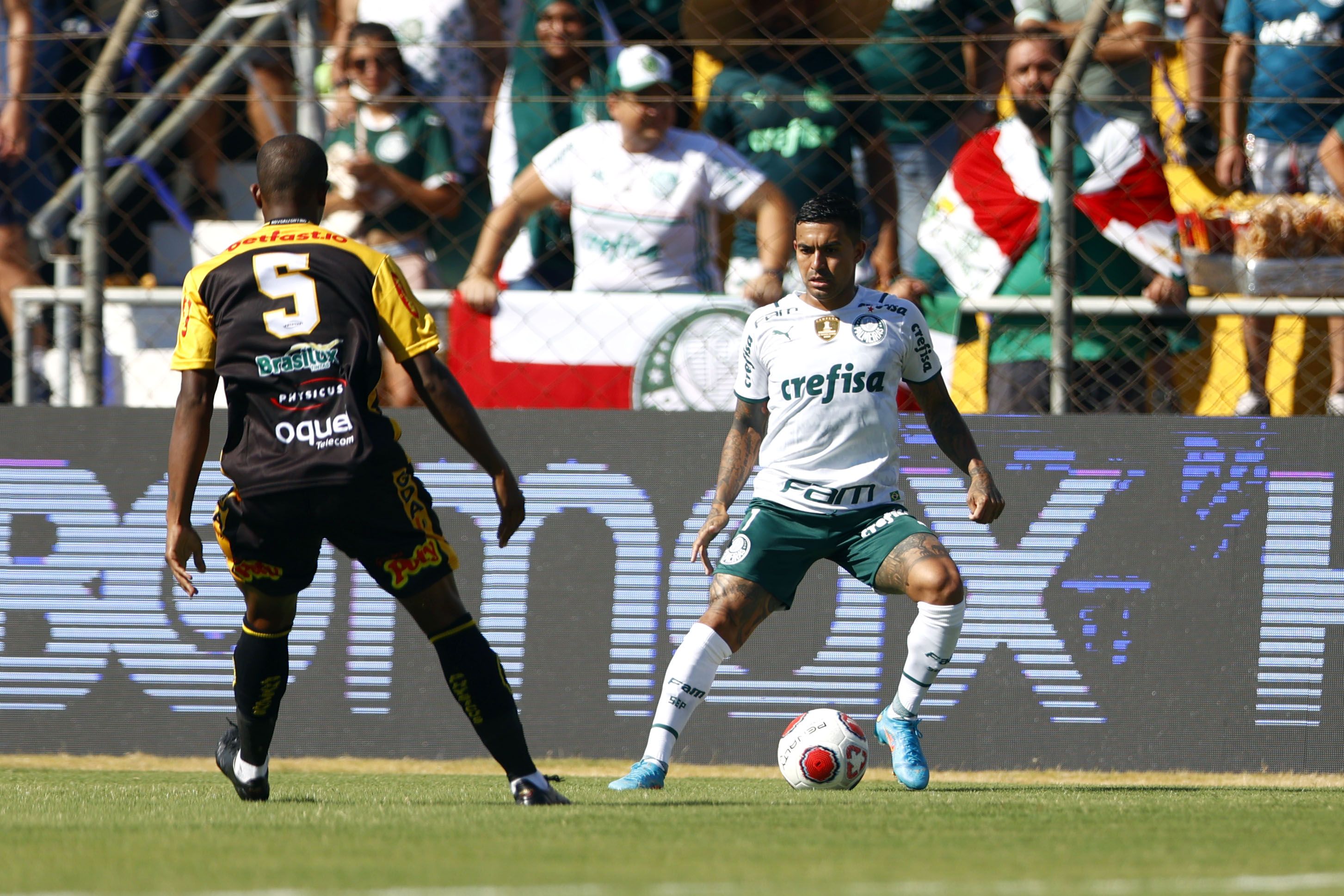 PAULISTA 2022, NOVORIZONTINO X PALMEIRAS