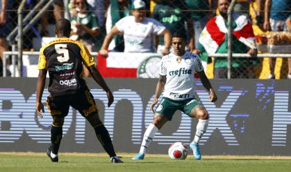 PAULISTA 2022, NOVORIZONTINO X PALMEIRAS