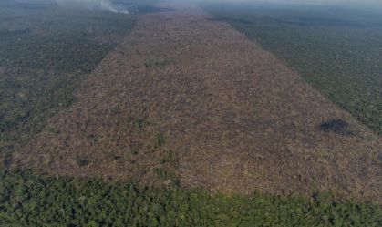 Desmatamento na Amazônia no 1º trimestre é o segundo maior desde 2016