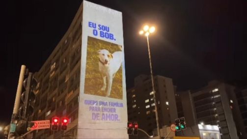 Projeção de cães e gatos na Avenida Paulista fez parte de iniciativa para combater o abandono de animais domésticos e incentivar a adoção