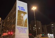 Fotos de cães e gatos para adoção são projetadas em prédio de São Paulo