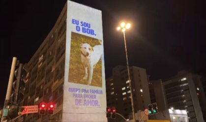 Projeção de cães e gatos na Avenida Paulista fez parte de iniciativa para combater o abandono de animais domésticos e incentivar a adoção