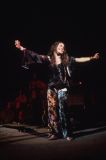 FESTIVAL DE WOODSTOCK