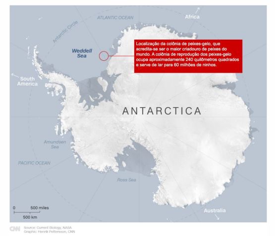Localização do criadouro, na Antártica / CNN