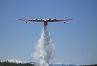 Hidroavião gigante de combate a incêndio está à venda por US$ 5 milhões