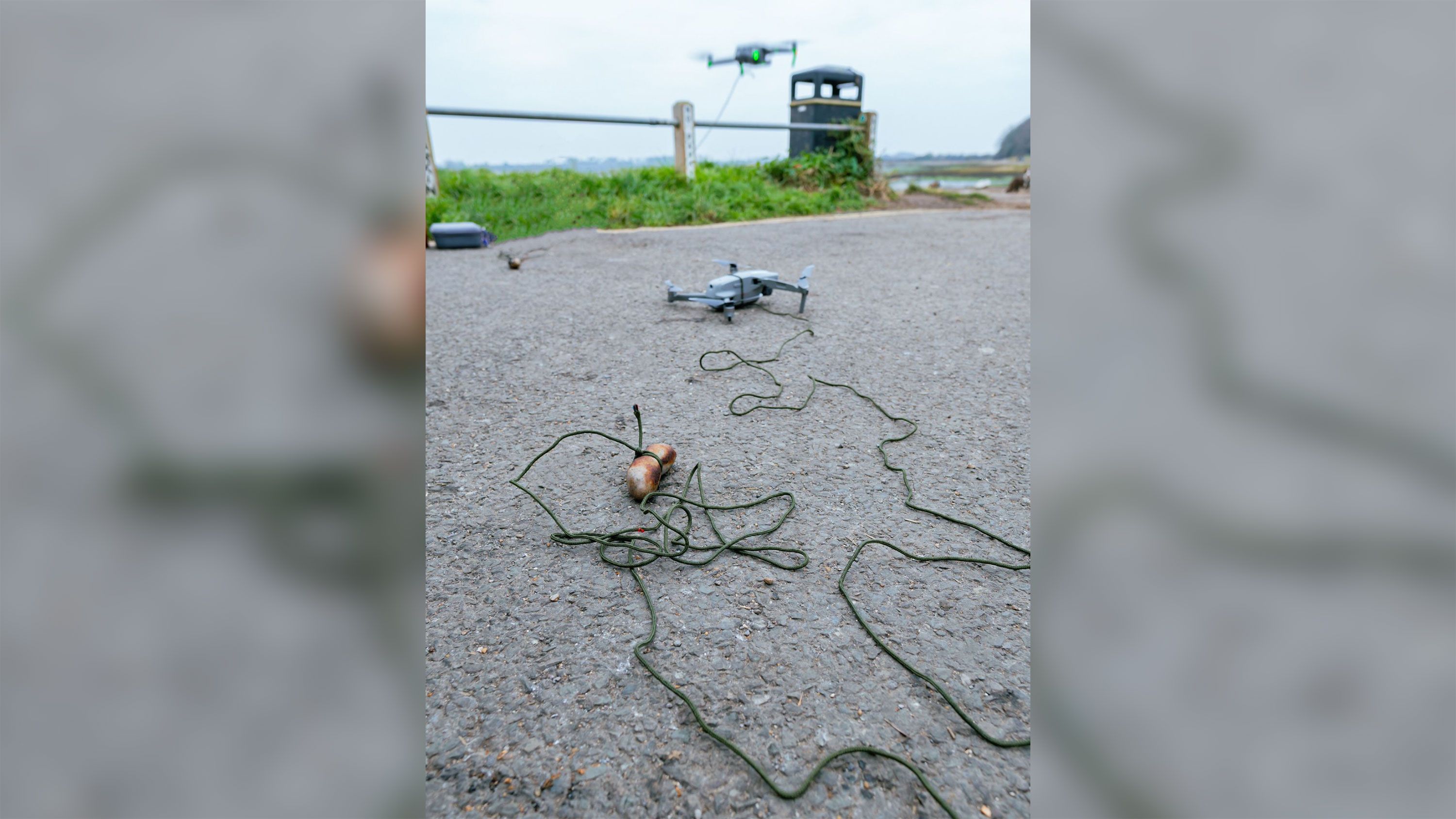 Salsicha foi amarrada a drone para atrair Millie / Denmead Drone Search and Rescue (DDSI)