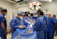 Transplante de coração de porco é marco histórico na medicina, diz cardiologista