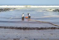 Peru declara emergência ambiental devido a vazamento de petróleo após tsunami