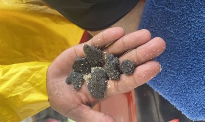 Manchas de óleo reaparecem no litoral nordestino