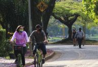 Atividade física intensifica resposta imunológica das vacinas contra a Covid-19