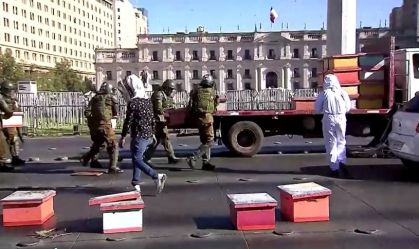 Sete policiais ficam feridos por picadas de abelha em protesto de apicultores no Chile