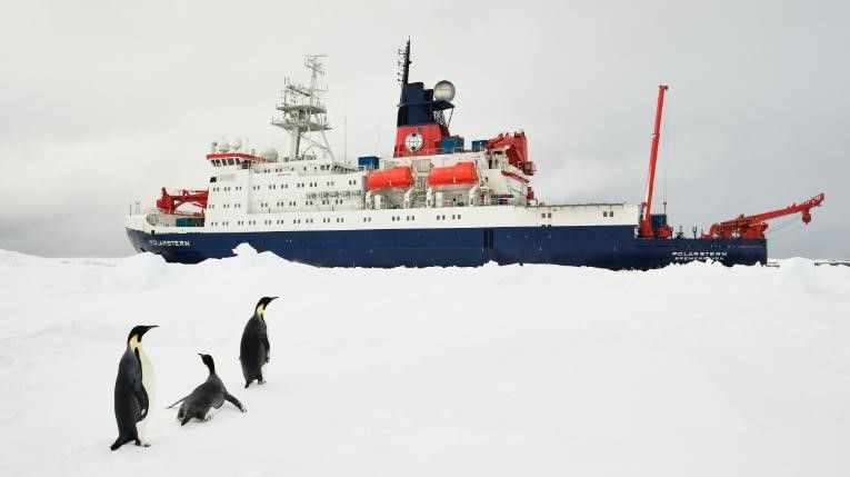 Navio explora o Mar Weddell a Antártica desde a década de 1980 / Tim Kalvelage