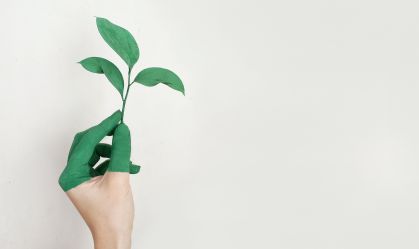COP 27: Brasil pretende se lançar como fonte de energia renovável para o planeta
