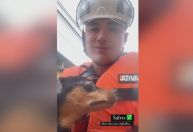 Bombeiros resgatam cachorro em casa inundada até o teto em Minas Gerais; veja imagens